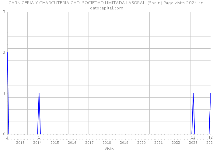 CARNICERIA Y CHARCUTERIA GADI SOCIEDAD LIMITADA LABORAL. (Spain) Page visits 2024 