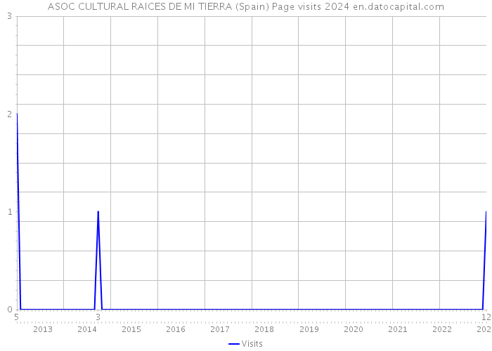 ASOC CULTURAL RAICES DE MI TIERRA (Spain) Page visits 2024 