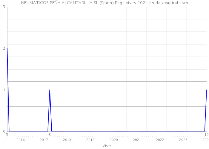 NEUMATICOS PEÑA ALCANTARILLA SL (Spain) Page visits 2024 