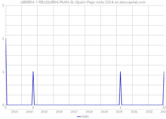 LIBRERIA Y PELUQUERIA PILMA SL (Spain) Page visits 2024 