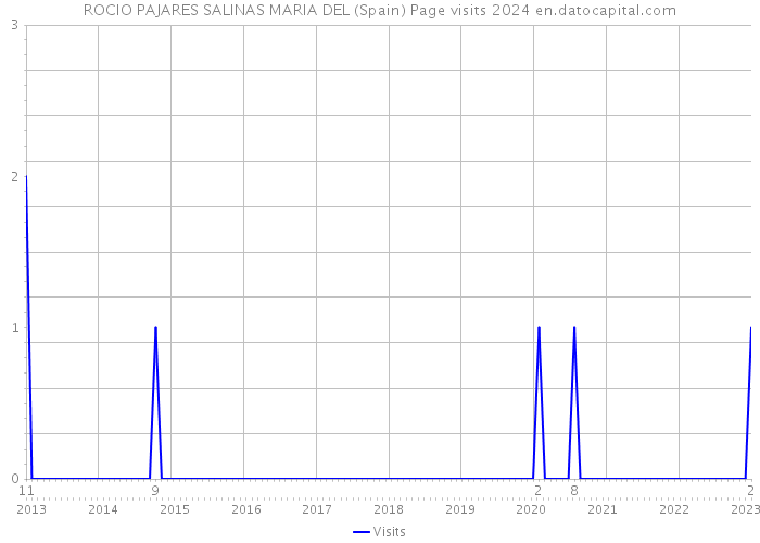 ROCIO PAJARES SALINAS MARIA DEL (Spain) Page visits 2024 