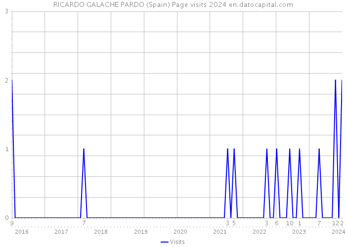 RICARDO GALACHE PARDO (Spain) Page visits 2024 
