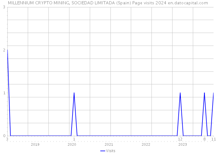 MILLENNIUM CRYPTO MINING, SOCIEDAD LIMITADA (Spain) Page visits 2024 