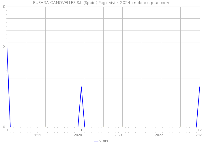 BUSHRA CANOVELLES S.L (Spain) Page visits 2024 