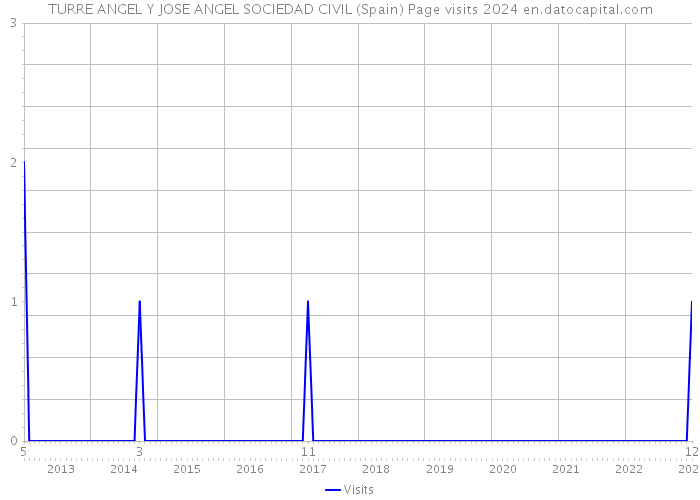 TURRE ANGEL Y JOSE ANGEL SOCIEDAD CIVIL (Spain) Page visits 2024 