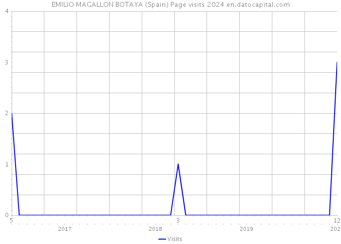 EMILIO MAGALLON BOTAYA (Spain) Page visits 2024 