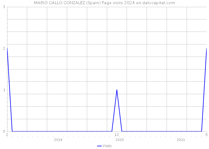 MARIO GALLO GONZALEZ (Spain) Page visits 2024 