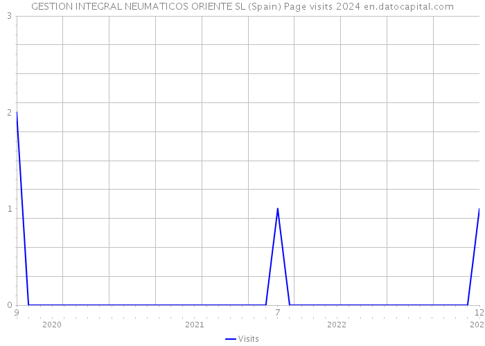 GESTION INTEGRAL NEUMATICOS ORIENTE SL (Spain) Page visits 2024 