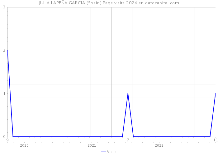 JULIA LAPEÑA GARCIA (Spain) Page visits 2024 