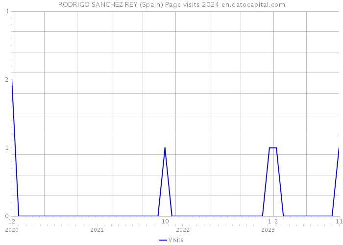 RODRIGO SANCHEZ REY (Spain) Page visits 2024 