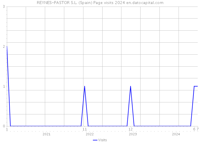 REYNES-PASTOR S.L. (Spain) Page visits 2024 