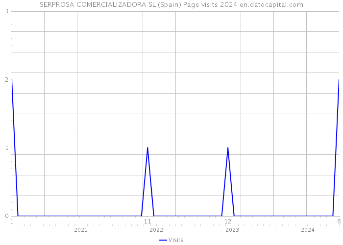 SERPROSA COMERCIALIZADORA SL (Spain) Page visits 2024 
