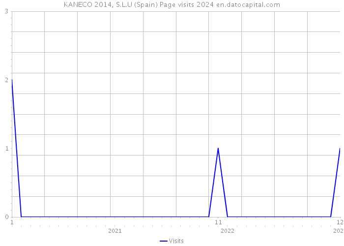 KANECO 2014, S.L.U (Spain) Page visits 2024 