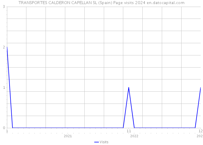 TRANSPORTES CALDERON CAPELLAN SL (Spain) Page visits 2024 