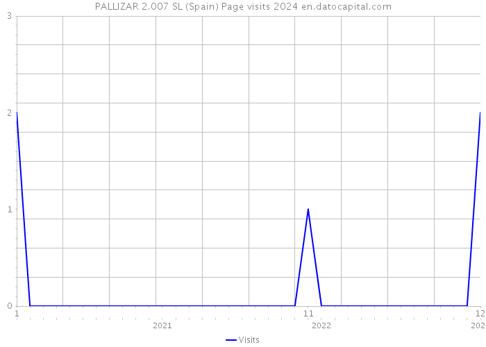 PALLIZAR 2.007 SL (Spain) Page visits 2024 