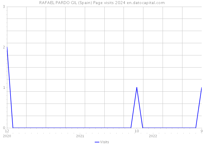 RAFAEL PARDO GIL (Spain) Page visits 2024 