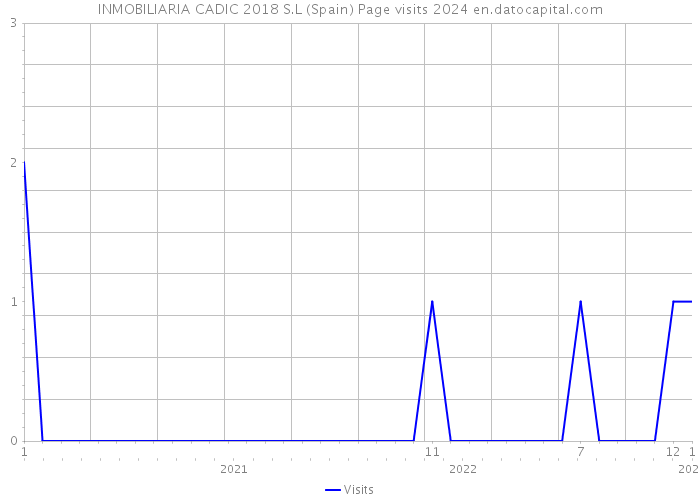 INMOBILIARIA CADIC 2018 S.L (Spain) Page visits 2024 