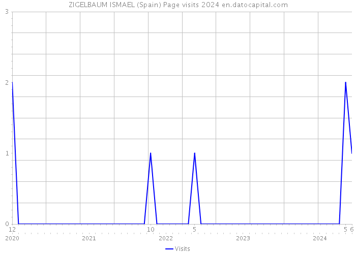 ZIGELBAUM ISMAEL (Spain) Page visits 2024 