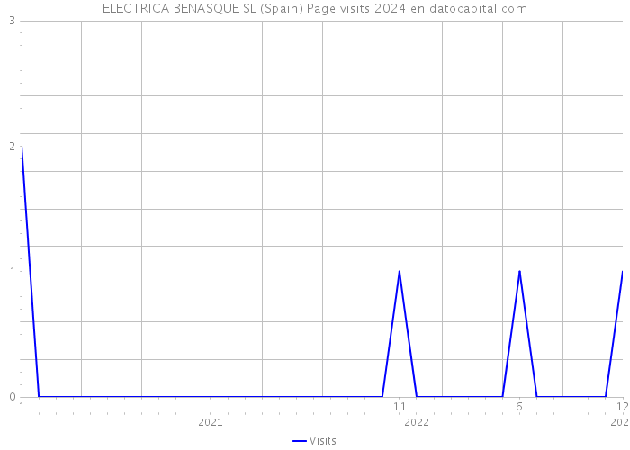 ELECTRICA BENASQUE SL (Spain) Page visits 2024 