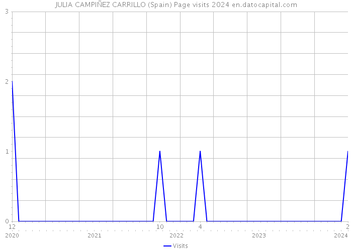 JULIA CAMPIÑEZ CARRILLO (Spain) Page visits 2024 