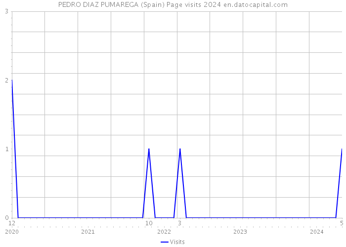 PEDRO DIAZ PUMAREGA (Spain) Page visits 2024 