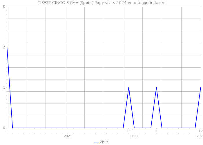 TIBEST CINCO SICAV (Spain) Page visits 2024 