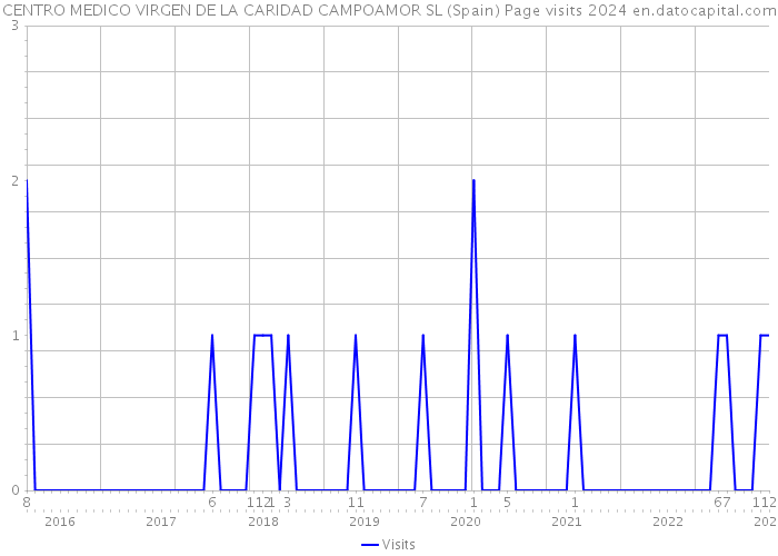 CENTRO MEDICO VIRGEN DE LA CARIDAD CAMPOAMOR SL (Spain) Page visits 2024 