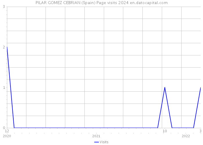 PILAR GOMEZ CEBRIAN (Spain) Page visits 2024 