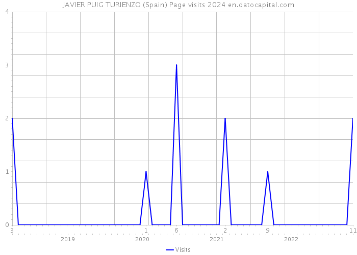 JAVIER PUIG TURIENZO (Spain) Page visits 2024 