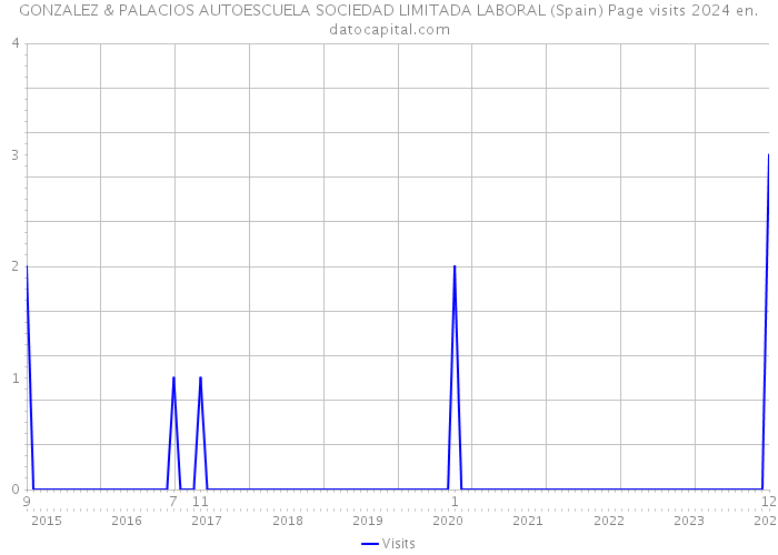 GONZALEZ & PALACIOS AUTOESCUELA SOCIEDAD LIMITADA LABORAL (Spain) Page visits 2024 