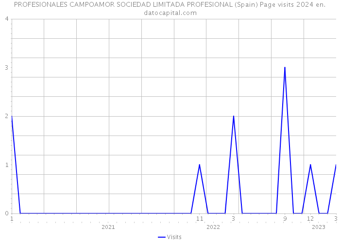 PROFESIONALES CAMPOAMOR SOCIEDAD LIMITADA PROFESIONAL (Spain) Page visits 2024 