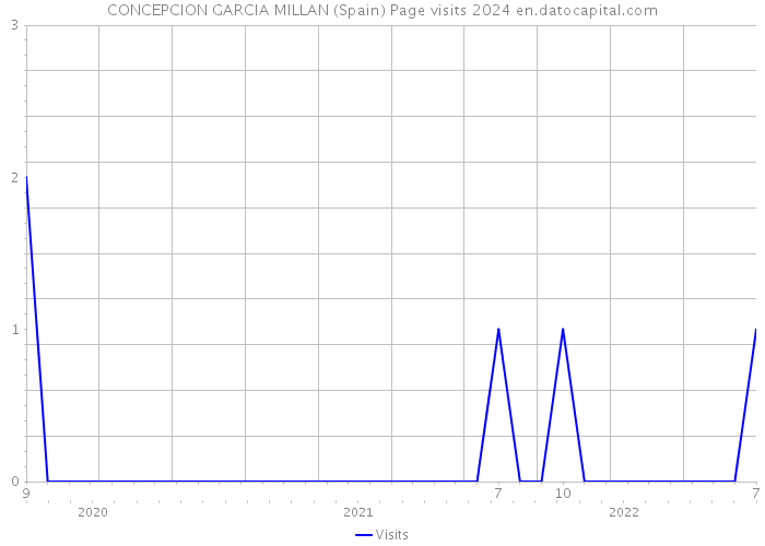 CONCEPCION GARCIA MILLAN (Spain) Page visits 2024 