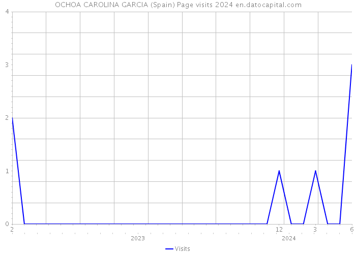 OCHOA CAROLINA GARCIA (Spain) Page visits 2024 