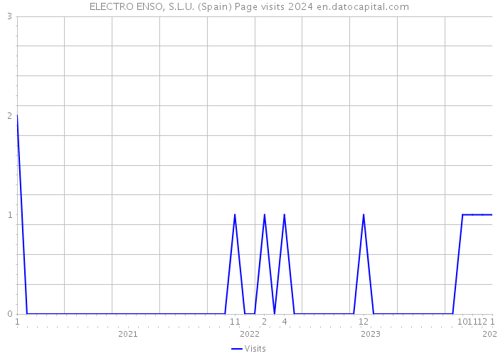 ELECTRO ENSO, S.L.U. (Spain) Page visits 2024 