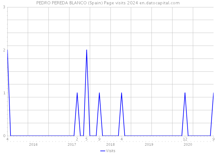 PEDRO PEREDA BLANCO (Spain) Page visits 2024 