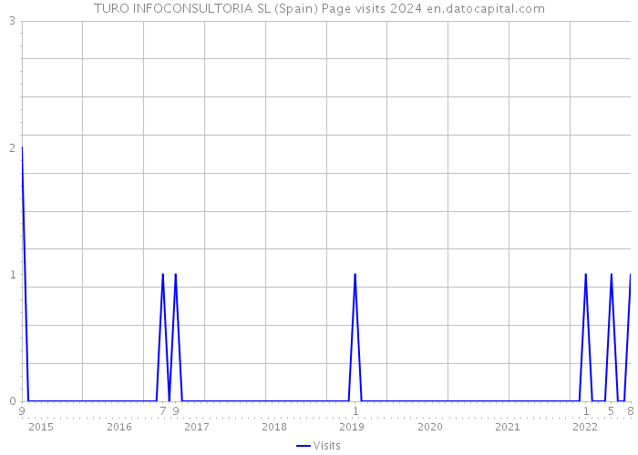 TURO INFOCONSULTORIA SL (Spain) Page visits 2024 