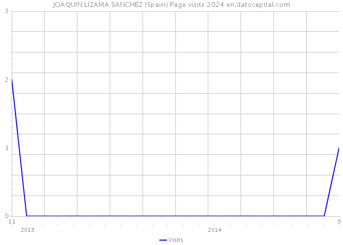 JOAQUIN LIZAMA SANCHEZ (Spain) Page visits 2024 