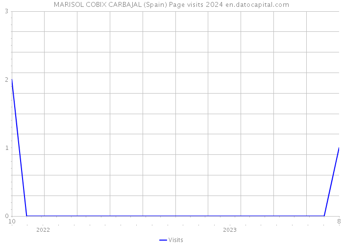 MARISOL COBIX CARBAJAL (Spain) Page visits 2024 