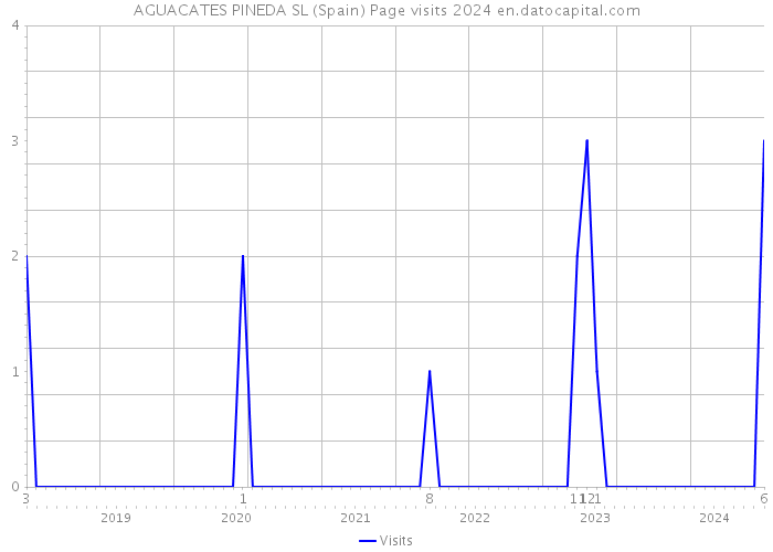 AGUACATES PINEDA SL (Spain) Page visits 2024 