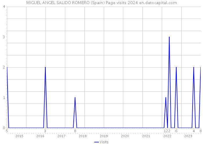 MIGUEL ANGEL SALIDO ROMERO (Spain) Page visits 2024 