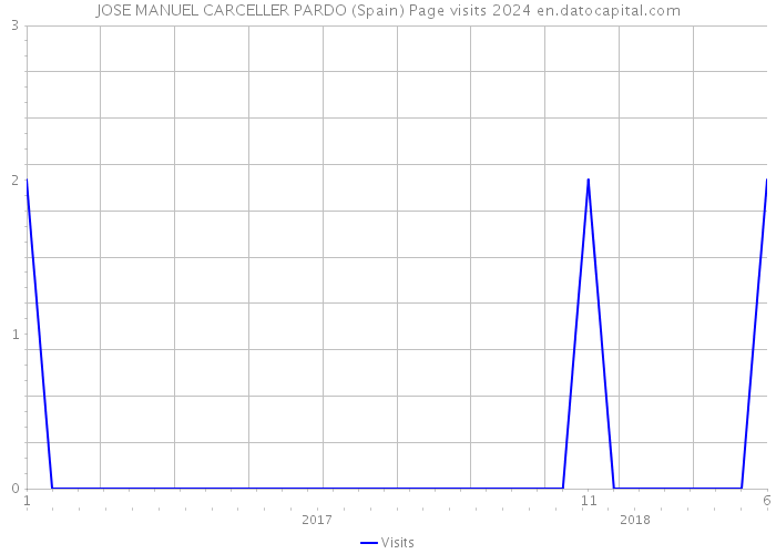 JOSE MANUEL CARCELLER PARDO (Spain) Page visits 2024 