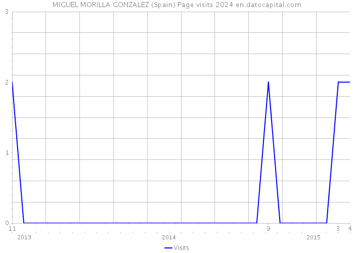 MIGUEL MORILLA GONZALEZ (Spain) Page visits 2024 