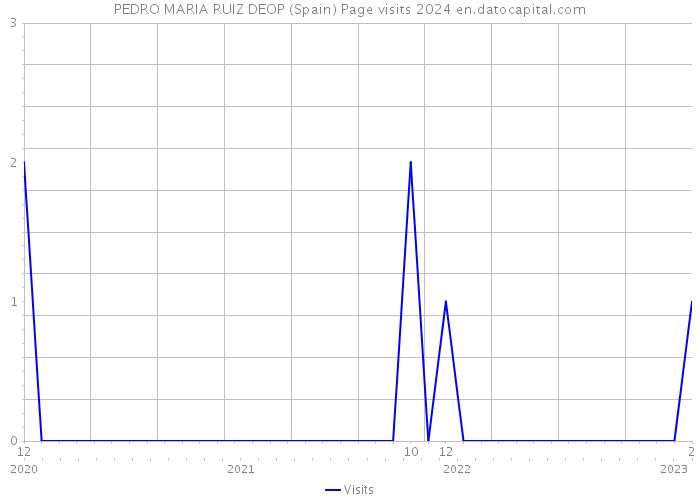 PEDRO MARIA RUIZ DEOP (Spain) Page visits 2024 
