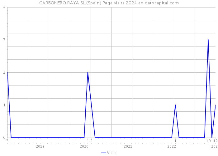 CARBONERO RAYA SL (Spain) Page visits 2024 