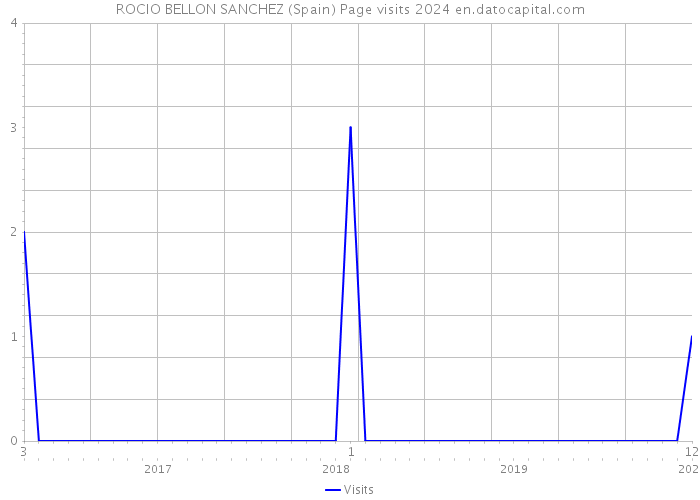ROCIO BELLON SANCHEZ (Spain) Page visits 2024 