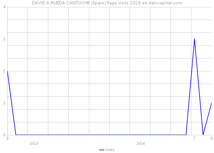 DAVID A RUEDA CANTUCHE (Spain) Page visits 2024 