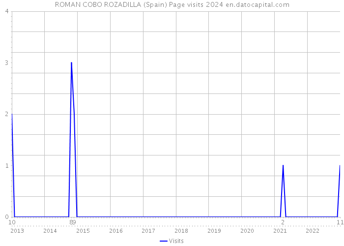 ROMAN COBO ROZADILLA (Spain) Page visits 2024 