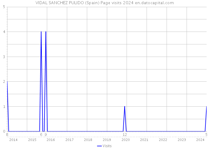 VIDAL SANCHEZ PULIDO (Spain) Page visits 2024 