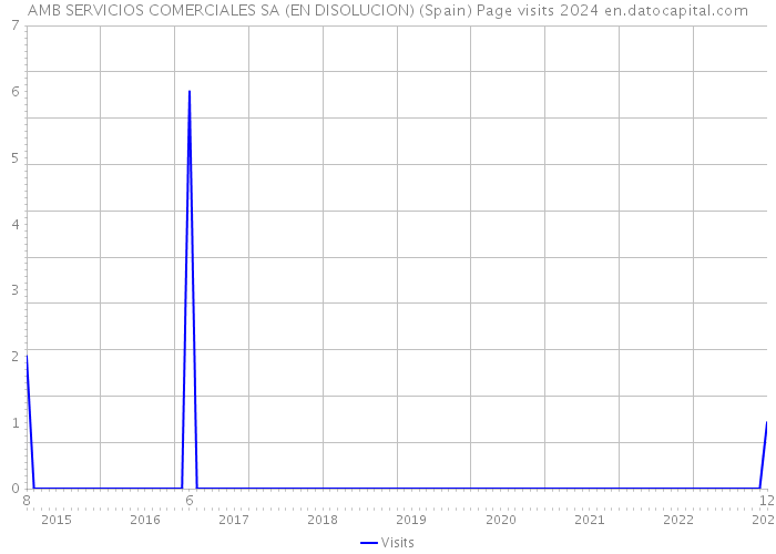 AMB SERVICIOS COMERCIALES SA (EN DISOLUCION) (Spain) Page visits 2024 