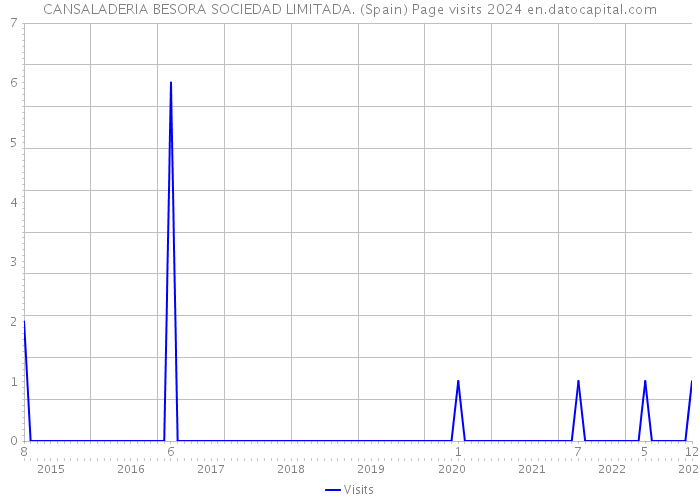 CANSALADERIA BESORA SOCIEDAD LIMITADA. (Spain) Page visits 2024 